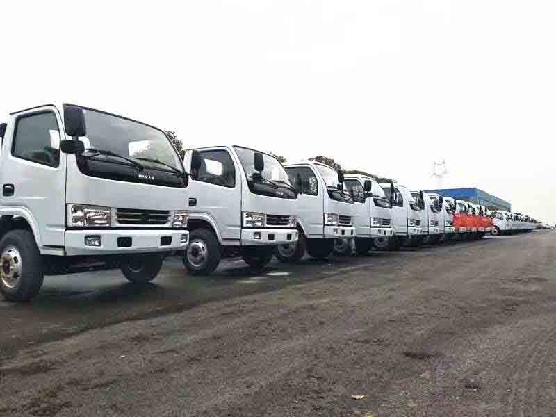 程力特種汽車制造廠100臺(tái)輕卡出口中東國(guó)家